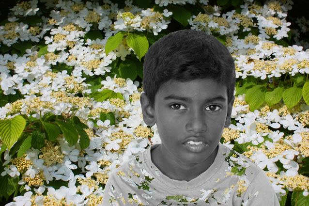 Pavithran Guna